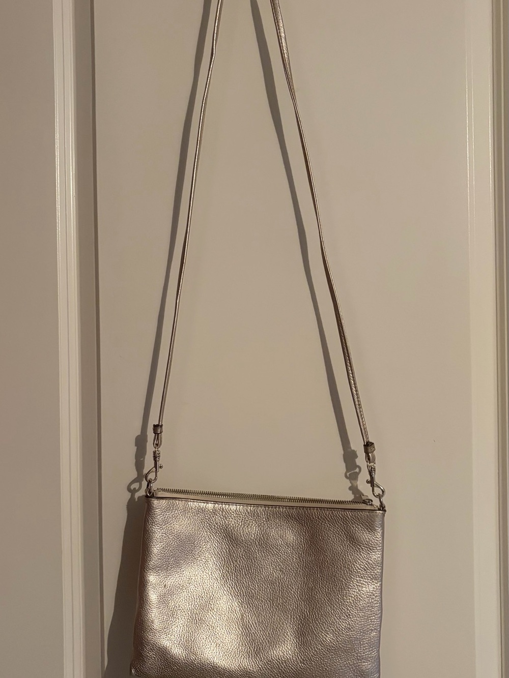 Banana Republic Metallic Silver Crossbody Bag